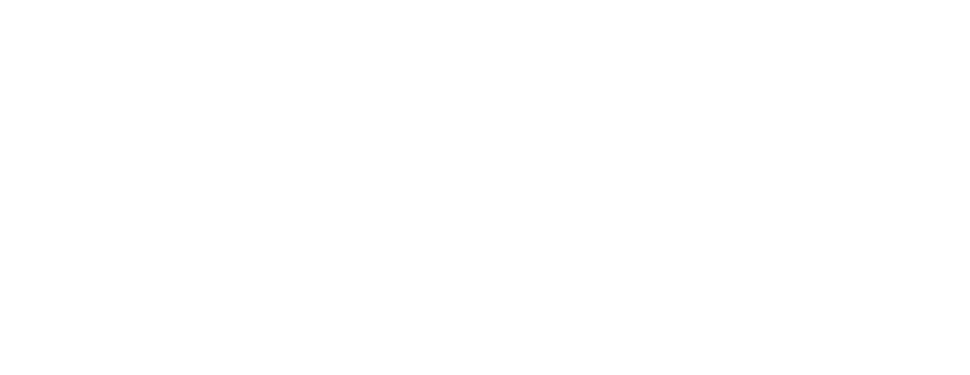 blue bird-logo-white